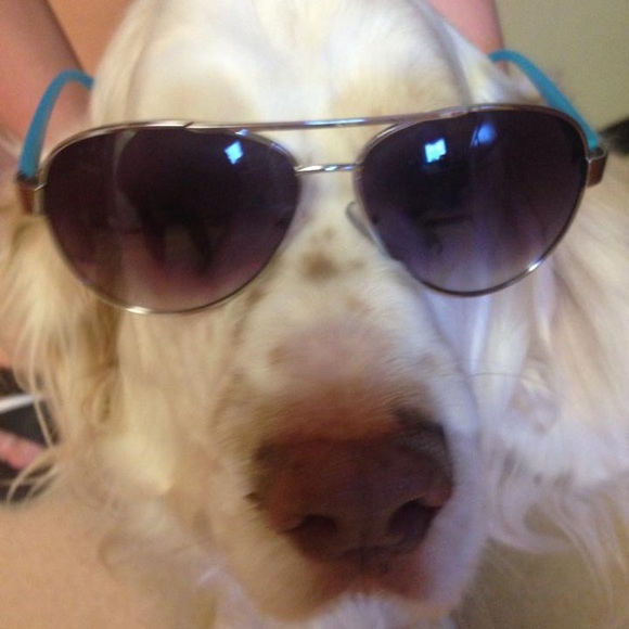 Meet your Posher, Juli - Picture 5 of 6